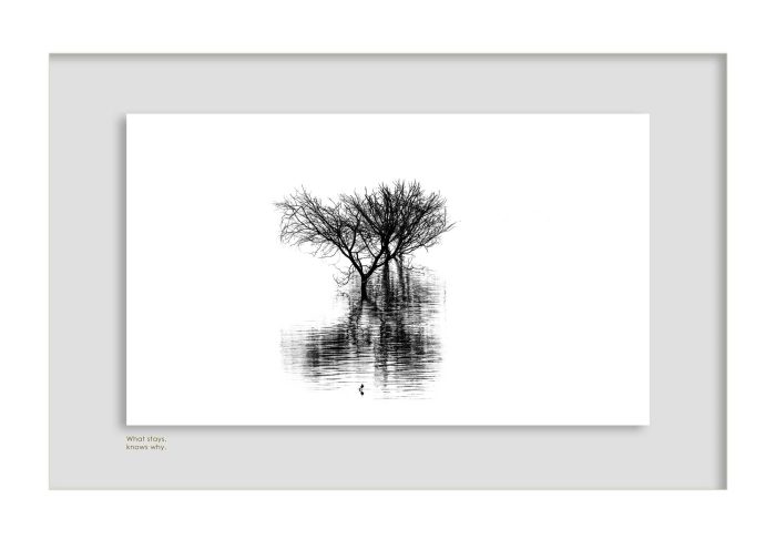 What stays, knows why.